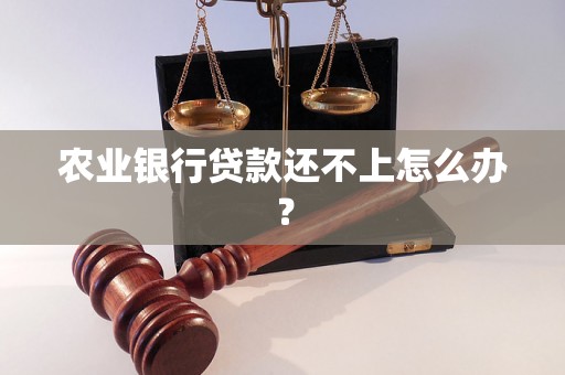 农业银行贷款还不上怎么办？