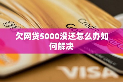 欠网贷5000没还怎么办如何解决