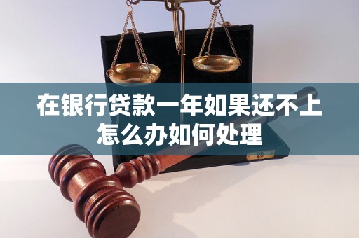 在银行贷款一年如果还不上怎么办如何处理