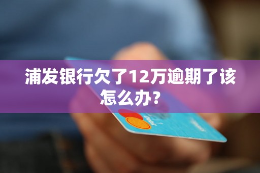 浦发银行欠了12万逾期了该怎么办？