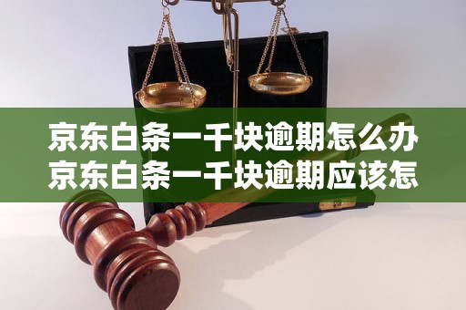 京东白条一千块逾期怎么办京东白条一千块逾期应该怎么处理