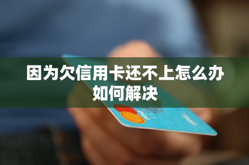 因为欠信用卡还不上怎么办如何解决