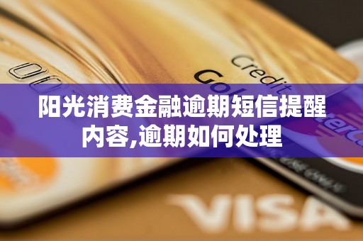 阳光消费金融逾期短信提醒内容,逾期如何处理