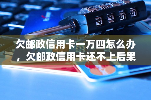 欠邮政信用卡一万四怎么办，欠邮政信用卡还不上后果严重吗