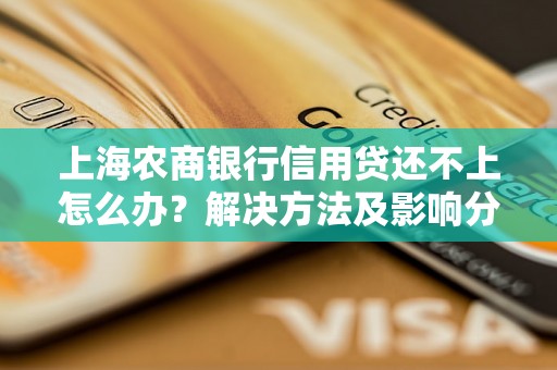 上海农商银行信用贷还不上怎么办？解决方法及影响分析上海农商银行信用贷款逾期后果及应对措施上海农商银行信用贷款无法偿还怎么办？解决方案推荐上海农商银行信用贷款逾期处理策略及注意事项上海农商银行信用贷款还款困难怎么办？应对建议