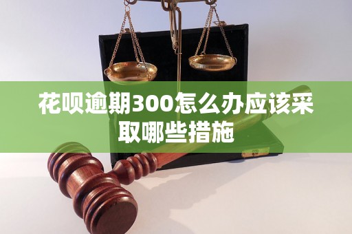 花呗逾期300怎么办应该采取哪些措施