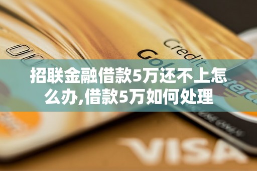 招联金融借款5万还不上怎么办,借款5万如何处理