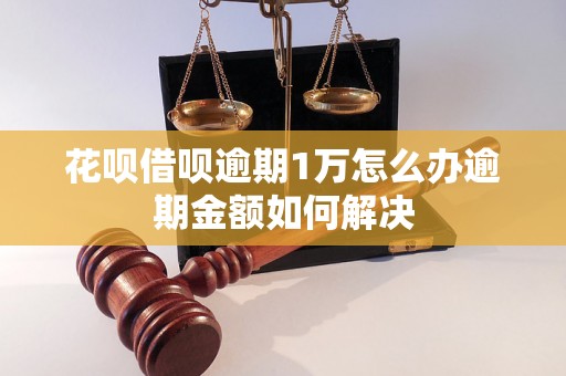 花呗借呗逾期1万怎么办逾期金额如何解决