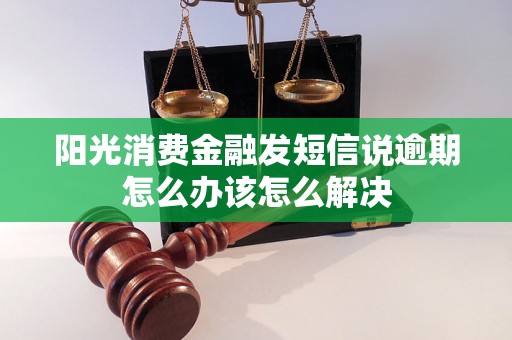 阳光消费金融发短信说逾期怎么办该怎么解决