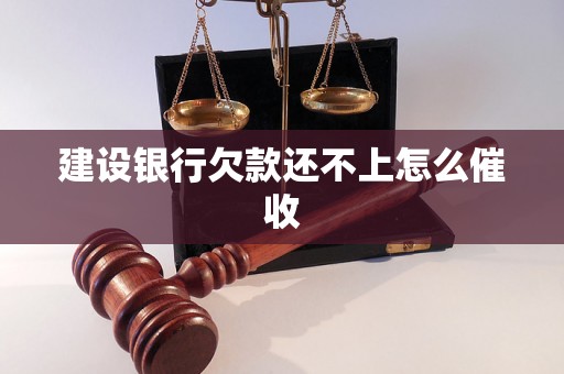 建设银行欠款还不上怎么催收