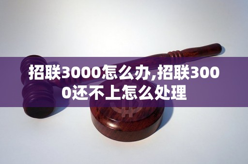 招联3000怎么办,招联3000还不上怎么处理