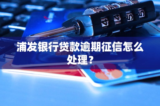 浦发银行贷款逾期征信怎么处理？