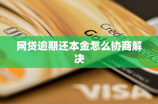 网贷逾期还本金怎么协商解决