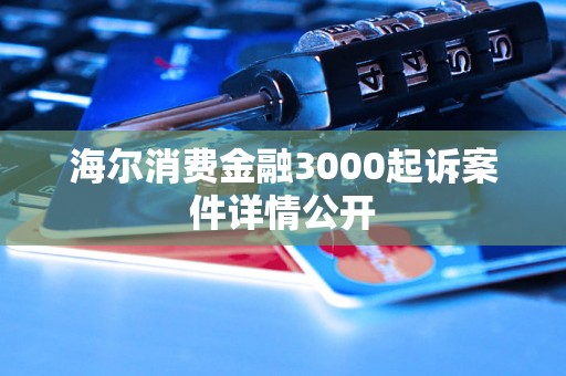 海尔消费金融3000起诉案件详情公开