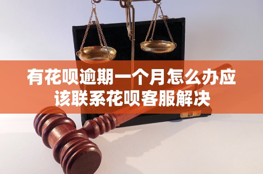 有花呗逾期一个月怎么办应该联系花呗客服解决