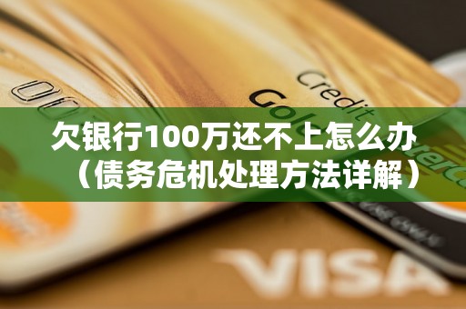 欠银行100万还不上怎么办（债务危机处理方法详解）