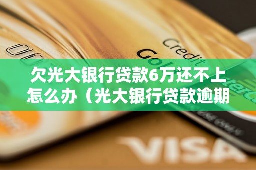 欠光大银行贷款6万还不上怎么办（光大银行贷款逾期处理方法）