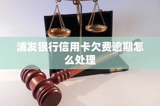 浦发银行信用卡欠费逾期怎么处理