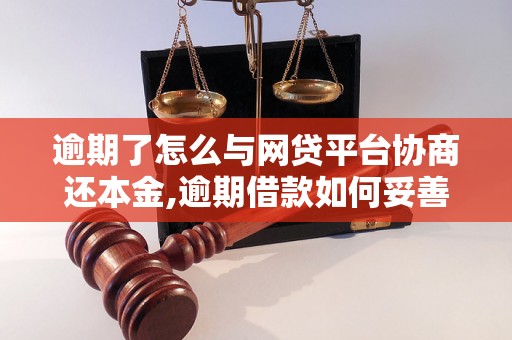 逾期了怎么与网贷平台协商还本金,逾期借款如何妥善处理