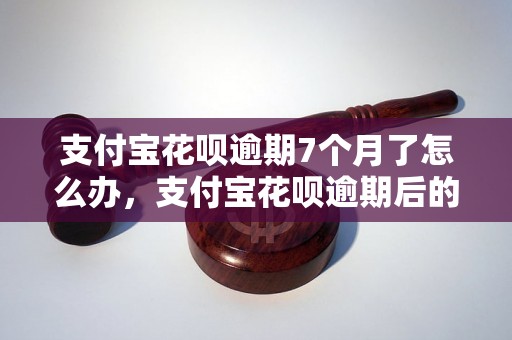 支付宝花呗逾期7个月了怎么办，支付宝花呗逾期后的解决办法