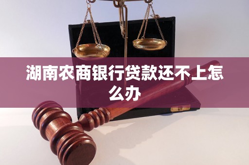 湖南农商银行贷款还不上怎么办