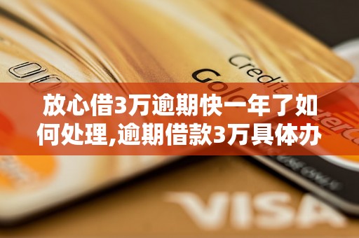 放心借3万逾期快一年了如何处理,逾期借款3万具体办理流程