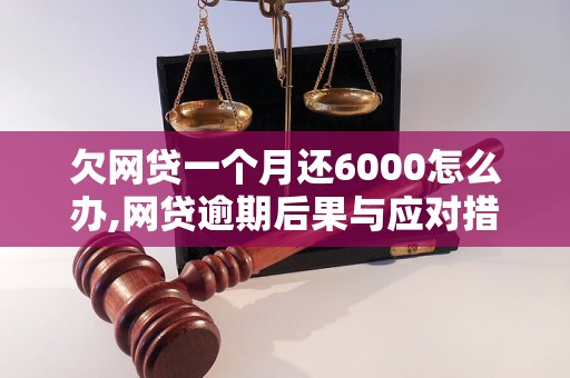 欠网贷一个月还6000怎么办,网贷逾期后果与应对措施