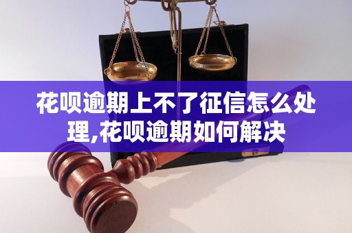 花呗逾期上不了征信怎么处理,花呗逾期如何解决