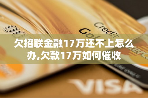 欠招联金融17万还不上怎么办,欠款17万如何催收