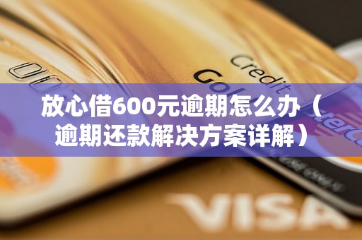 放心借600元逾期怎么办（逾期还款解决方案详解）