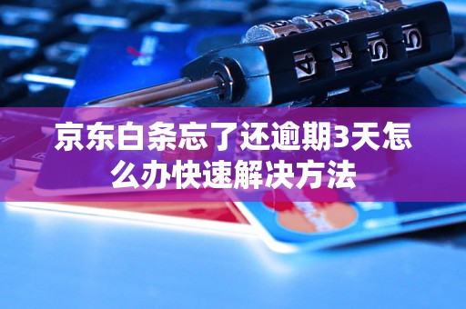 京东白条忘了还逾期3天怎么办快速解决方法