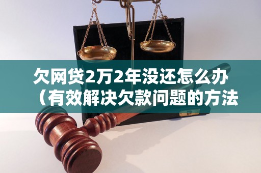 欠网贷2万2年没还怎么办（有效解决欠款问题的方法）