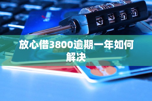 放心借3800逾期一年如何解决