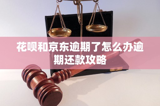 花呗和京东逾期了怎么办逾期还款攻略