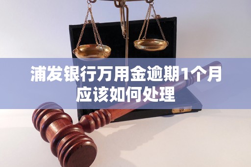 浦发银行万用金逾期1个月应该如何处理