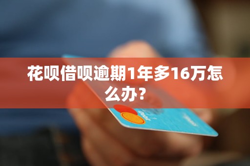 花呗借呗逾期1年多16万怎么办？