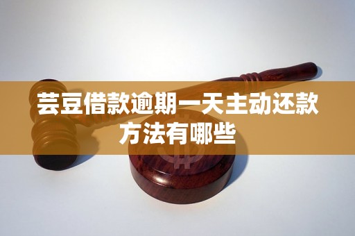 芸豆借款逾期一天主动还款方法有哪些