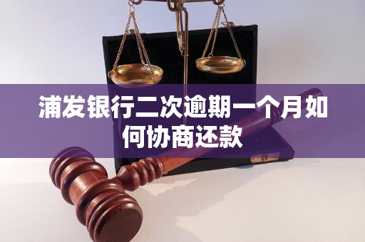 浦发银行二次逾期一个月如何协商还款