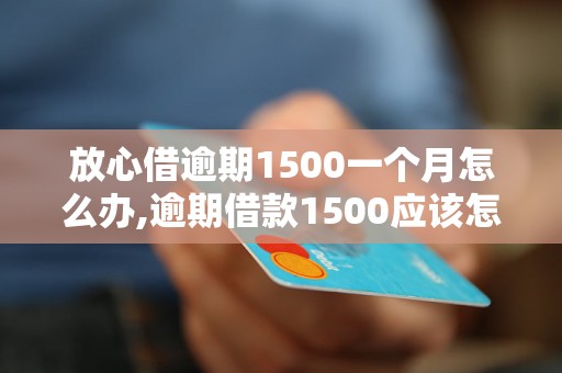 放心借逾期1500一个月怎么办,逾期借款1500应该怎么处理