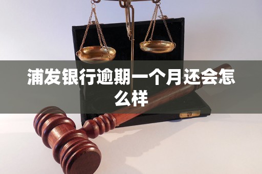 浦发银行逾期一个月还会怎么样