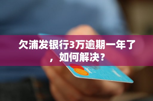 欠浦发银行3万逾期一年了，如何解决？