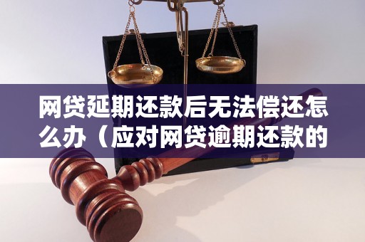 网贷延期还款后无法偿还怎么办（应对网贷逾期还款的有效措施）