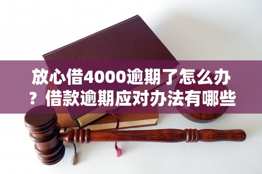 放心借4000逾期了怎么办？借款逾期应对办法有哪些？