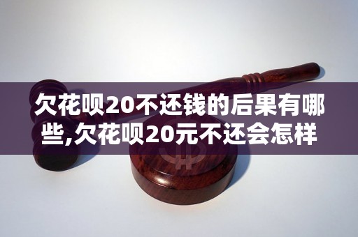 欠花呗20不还钱的后果有哪些,欠花呗20元不还会怎样