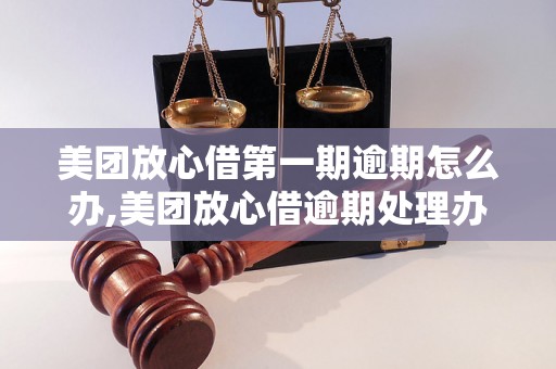 美团放心借第一期逾期怎么办,美团放心借逾期处理办法