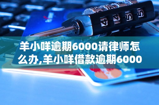 羊小咩逾期6000请律师怎么办,羊小咩借款逾期6000怎么解决