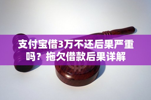 支付宝借3万不还后果严重吗？拖欠借款后果详解