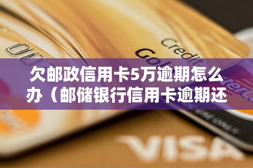 欠邮政信用卡5万逾期怎么办（邮储银行信用卡逾期还款解决方法）