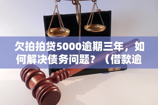 欠拍拍贷5000逾期三年，如何解决债务问题？（借款逾期后果及解决方法）