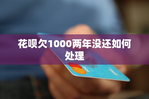 花呗欠1000两年没还如何处理